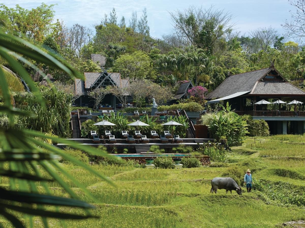 泰国苏梅岛的四季度假村和住宅four seasons resort and residences at koh samui,thailand ...