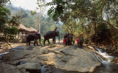 16 Mae Sa Elephant Camp