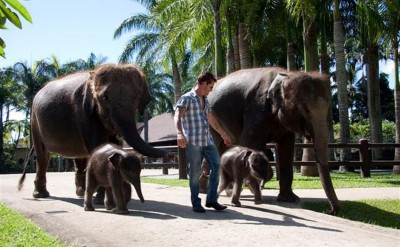 Nigel with Baby Elephants