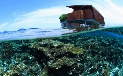 Underwater4- corals around Park Water Villas-Quick Preset_1499x1000