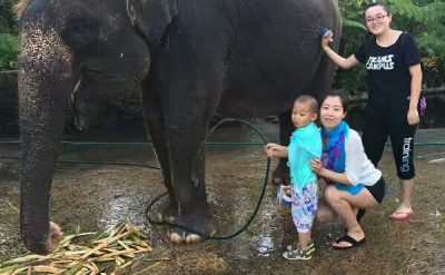 Bali Elephant Safari Lodge (1)