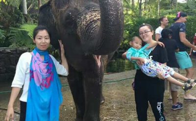Bali Elephant Safari Lodge (2)