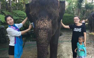 Bali Elephant Safari Lodge (5)