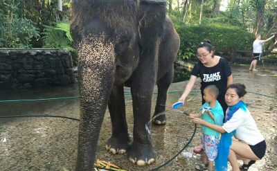 Bali Elephant Safari Lodge (7)