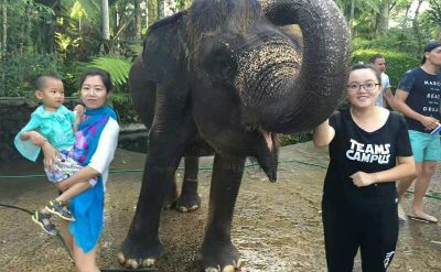 Bali Elephant Safari Lodge (9)