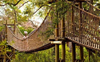 safari-lodge-swing-bridge-wide