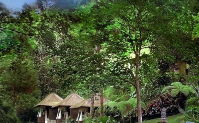 040 - spa area on the bank of petanu river