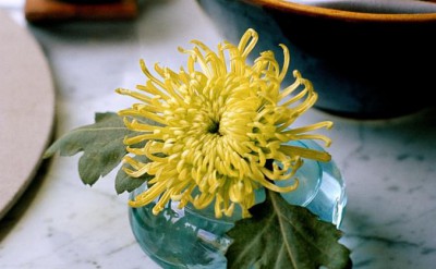 44044995-H1-Table_Decoration