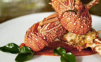 44045076-H1-Grilled_Lombok_Lobster