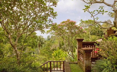 UMA view