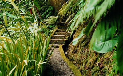 44164745-H1-Path_to_Kedara
