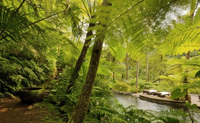 CSE Water gardens