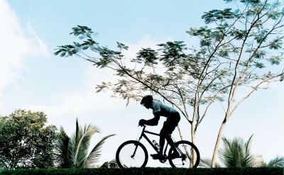 44165683-H1-mountain_biking