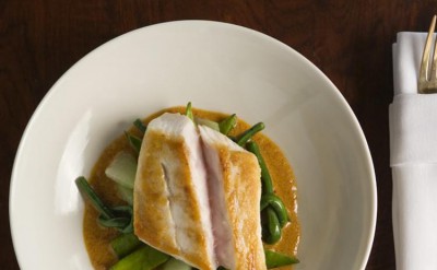 CSE Food