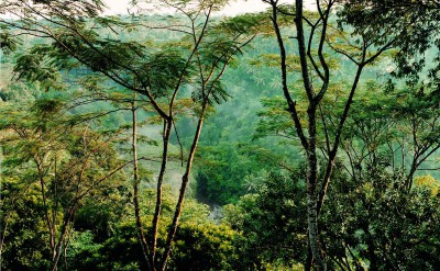 44182636-H1-Ayung_Gorge