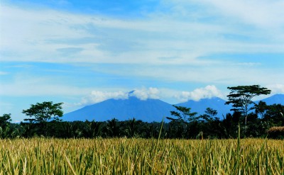 44182672-H1-Batukaru_Mountain
