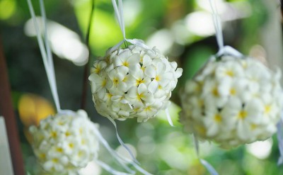 44182718-H1-Hanging_frangipani_flower_balls