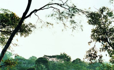 44184107-H1-Uma_Bona_from_distance