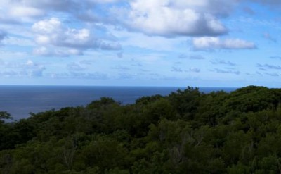 AVU_Villas_ym_320