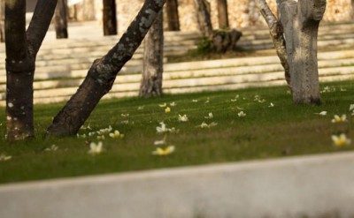 AVU_ym_018