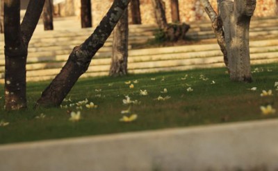 AVU_ym_019