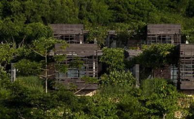 AVU_ym_175