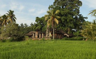Alila Abud - Alila Experience - All About Rice 4
