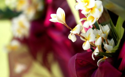 Anantara Wedding (2)
