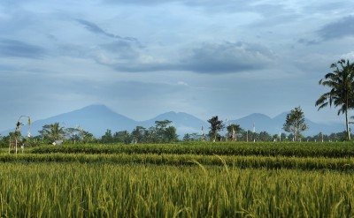alilaubud-alilaexperience-allaboutrice-3