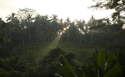alilaubud-view-2