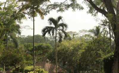 alilaubud-view-3