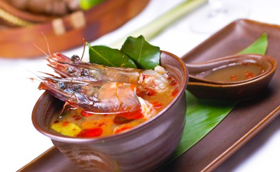food wild orchid