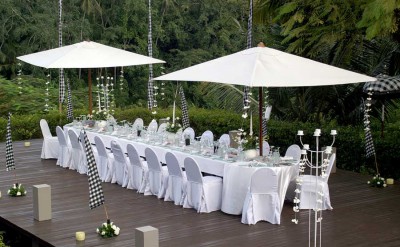 mice - private dinner at starlight deck