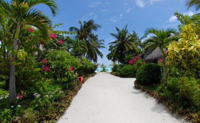 43417211-H1-Lush_gardens