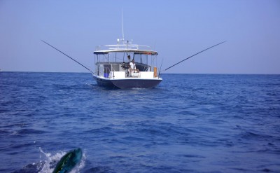 43417283-H1-Deep_sea_fishing