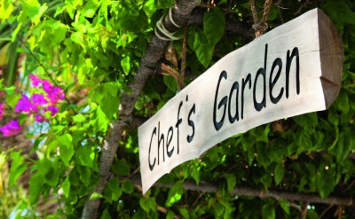 43466189-H1-Chef's_Garden