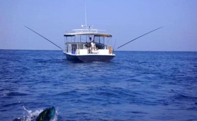 Big-Game-fishing-AMD_780