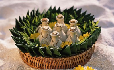 Hi_ANMVMI_27798360_ANMI_Spa_EssentialOils_HR