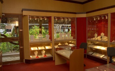 Jewellery Shop-Quick Preset_1504x1000