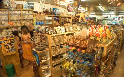 Souvenir Shop-Quick Preset_1504x999