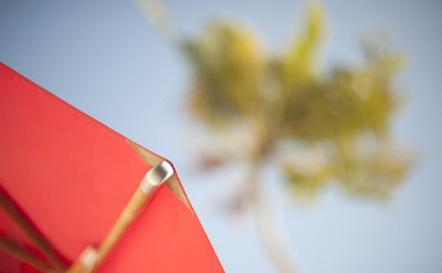 Umbrella Detail HR