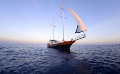 Yacht1-AMD_783
