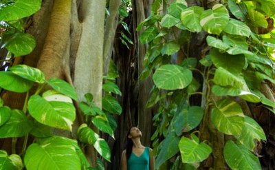 018-Kuramathi-Nature