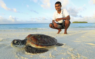 42966501-H1-BTMVMV_FH09-11__BTMVMV_Turtle_Protection_Program_9866