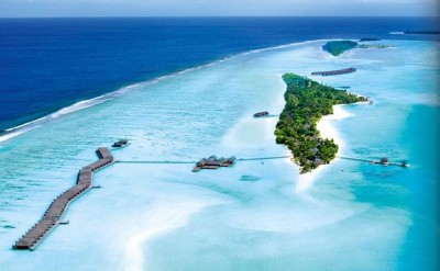 The-Island-Quick Preset_800x600
