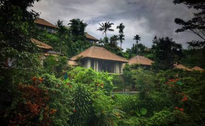 IMG_5365