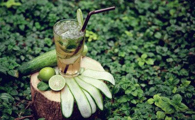 319_Citrus-Cooler