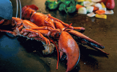 337_Lobster-Teppanyaki