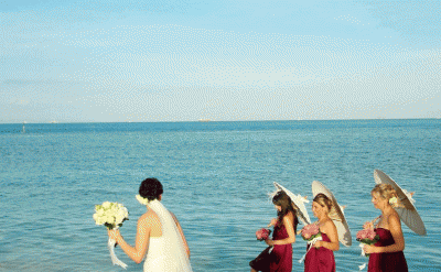 504-Wedding
