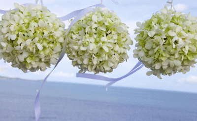 515-Wedding